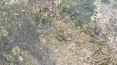 Yağmur mevsiminde yağmur günü.