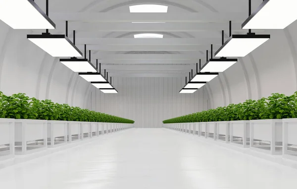 展示スペース倉庫内の植物工場 3Dレンダリング — ストック写真