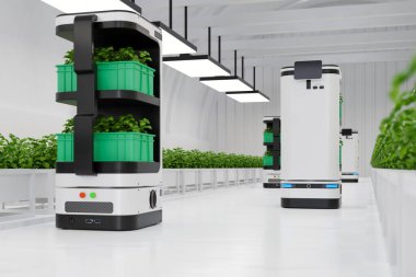 Otonom bir robot, sebze tarlasının taşınmasına ve bakımına yardımcı oluyor.