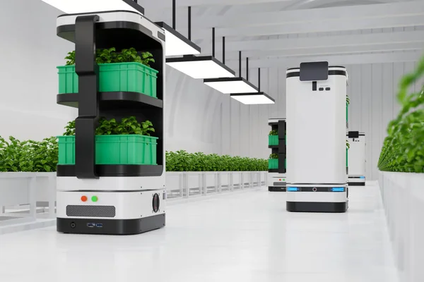 Robot Autonomo Che Aiuta Trasportare Prendersi Cura Piantagioni Verdure — Foto Stock