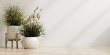 Beyaz duvar arkaplan boş oda ahşap zemin üzerinde bitkiler 3D görüntüleme