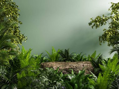 Tropikal ormanlardaki taş platformlar ürün sunumu ve yeşil ağaçlar için.