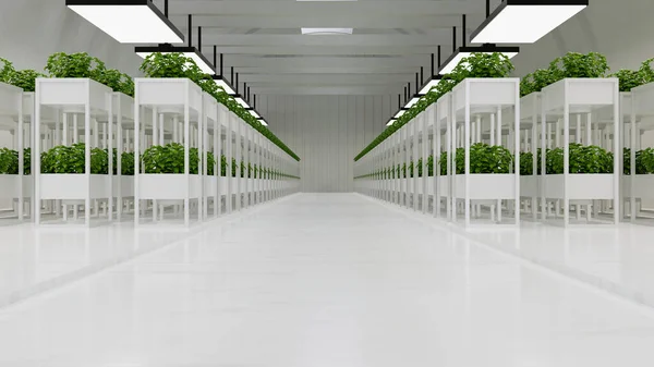 Vegetable plant in logistic center,Warehouse for storage and distribution centers.3d rendering