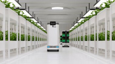 Sebze ekiminde taşınmasına ve bakımına yardımcı olan yapay zeka robotu.