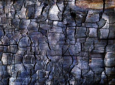 Bir ateş makrosundan yanmış ahşap doku. Yakın çekim.