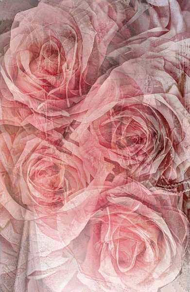 An abstract of pink roses using multiple exposure