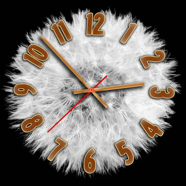 Годинник Кульбабою Ізольований Чорному Тлі Ілюстрації — стокове фото