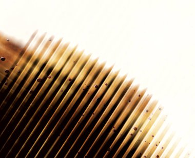 Soyut arkaplan olukların bir deseni