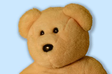 Yakından bakınca soluk mavi arka planda bir oyuncak ayı.