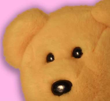 Pembe arka planda izole edilmiş bir oyuncak ayı yüzü.