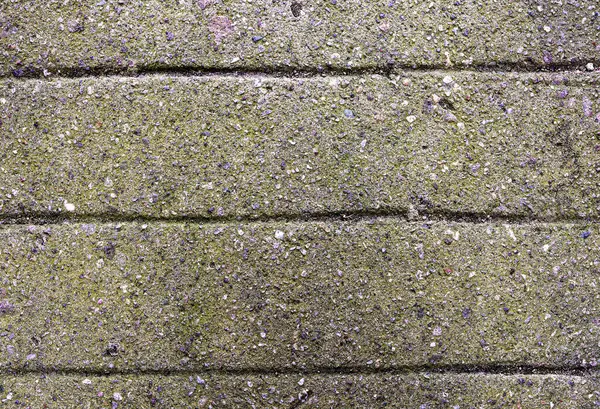 Yeşil yosunlar yolda, yaklaşıyorlar.