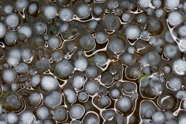 Bir bahçe zemininde ışık efektiyle dolu