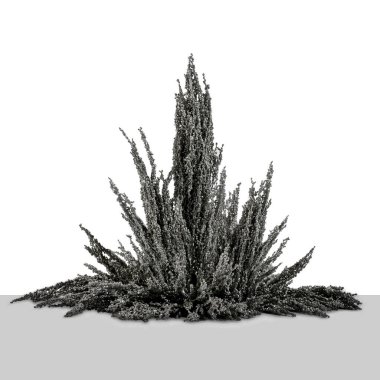 Manyetik kuvvetler demir dolgularını yakınlaştırıyor.