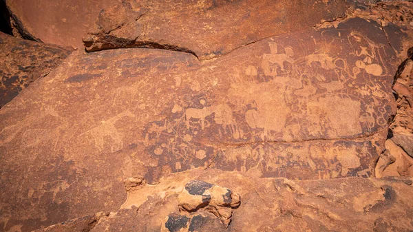 stock image Ancient rock engravings in Twyfelfontein, Damaraland, Namibia.