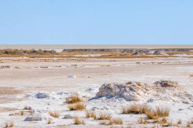 Etosha Ulusal Parkı, Namibya 'nın tuz tepsisinden muhteşem bir manzara..