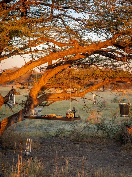 Een Romantische Sundowner Afrika Onguma Game Reserve Namibië — Stockfoto