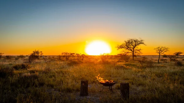 Afrika Muhteşem Manzaralı Romantik Bir Günbatımcısı Onguma Oyun Rezervi Namibya — Stok fotoğraf