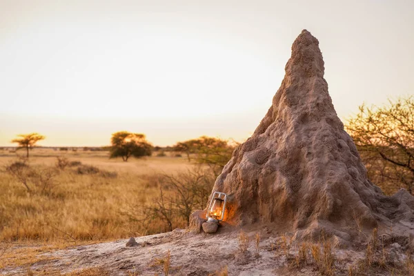 Gran Montículo Termitas Típico Paisaje Africano Atardecer Reserva Caza Onguma — Foto de Stock
