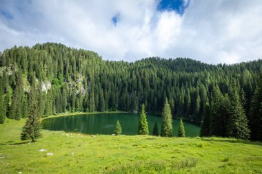 Planina PRI jezeru Gölü çevreleyen dağların Triglav Ulusal Parkı, Slovenya ile.