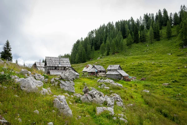 Casas Madeira Encantadoras Ficam Perto Uma Montanha Coberta Pinheiros Nos — Fotografia de Stock