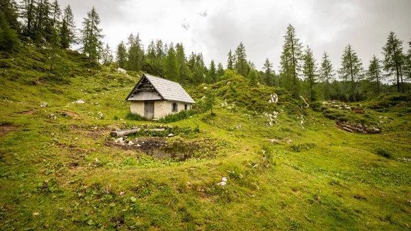 Domek Górski Stoi Pobliżu Sosnowego Lasu Pokrytego Górą Spokojnych Alpach — Zdjęcie stockowe