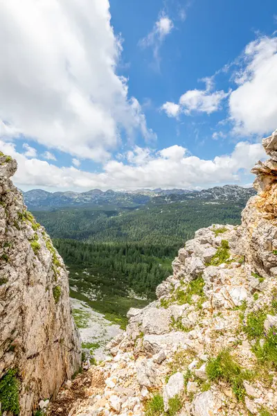 Beautiful View Mountains Valley Triglav National Park Slovenia — Stock Photo, Image