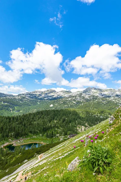 Beautiful View Lake Seven Lakes Valley Triglav National Park Slovenia — Stock Photo, Image