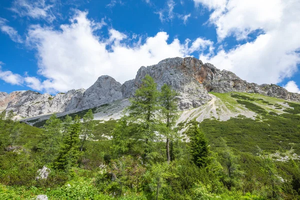 Una Splendida Vista Sulle Montagne Del Triglav Parco Nazionale Del — Foto Stock