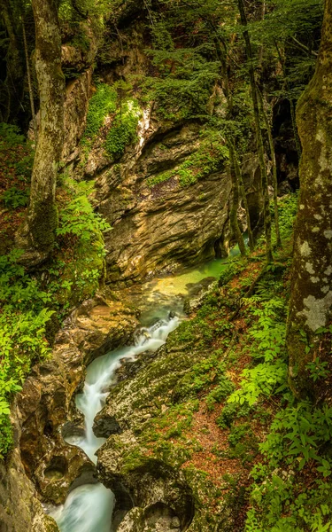 Deep Canyon Gorge Mostnica River Bohinj Triglav National Park Slovenia — Stock Photo, Image