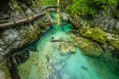 Renkli Radovna nehir Vintgar Gorge, Slovenya üzerinden nefes kesen manzarası.