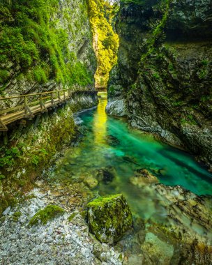 Renkli Radovna nehir Vintgar Gorge, Slovenya üzerinden nefes kesen manzarası.