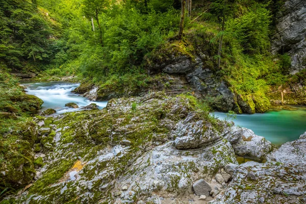 Slovenya 'nın Vintgar Vadisi' ndeki renkli Radovna nehrinin nefes kesici manzarası. Uzun pozlama.