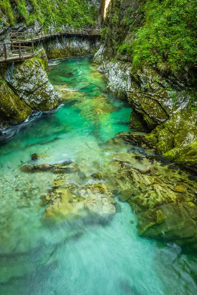 ヴィントガル峡谷スロベニアでカラフルな Radovna 川の美しい景色 — ストック写真