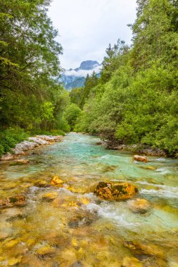 Arkasında Julian Alpleri olan Triglavska Nehri Bistrica, Kranjska Gora, Slovenya.