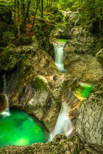 スロベニアのジュリアン アルプスのレペナ渓谷にある美しい水の滝や小さな滝 魅惑的な森の中のエメラルドグリーンの滝 — ストック写真