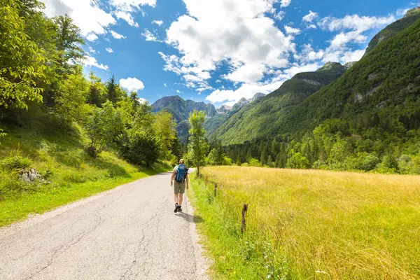 Paesaggio Foto Una Donna Che Percorre Sentiero Nelle Alpi Giulie Immagini Stock Royalty Free