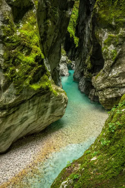 トルミン ゴージ トルミンスカ コリータ ソコバレー トリグラフ国立公園 スロベニア ヨーロッパ — ストック写真