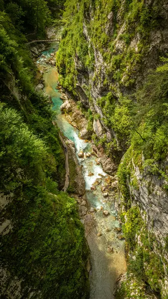 Tolmin Gorge Tolminska Korita Soca Valley Triglav National Park Slovenia — Stock Photo, Image