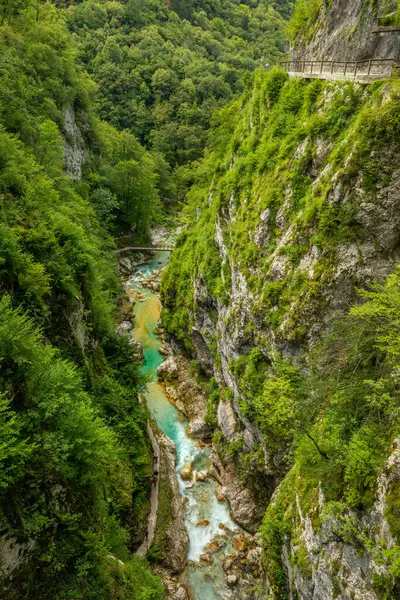 Tolmin Gorge Tolminska Korita Soca Valley Triglav National Park Slovenia Stock Image