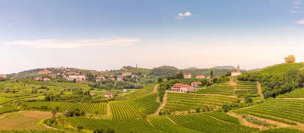 Goriska Brda Famous Wine Region Slovenia Located Italy Villages Smartno Stock Picture