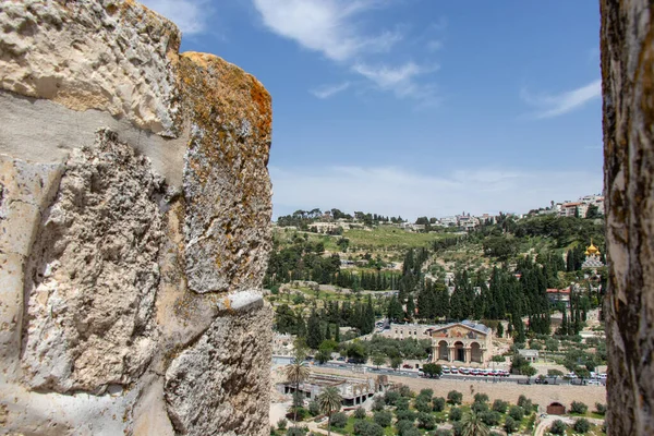 オリーブの山エルサレムの旧市街からの眺め — ストック写真