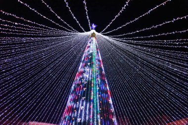 Yılbaşı ağacı ve gece aydınlığı