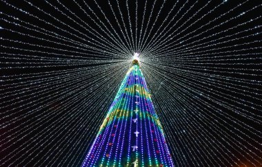 Yılbaşı ağacı ve gece aydınlığı