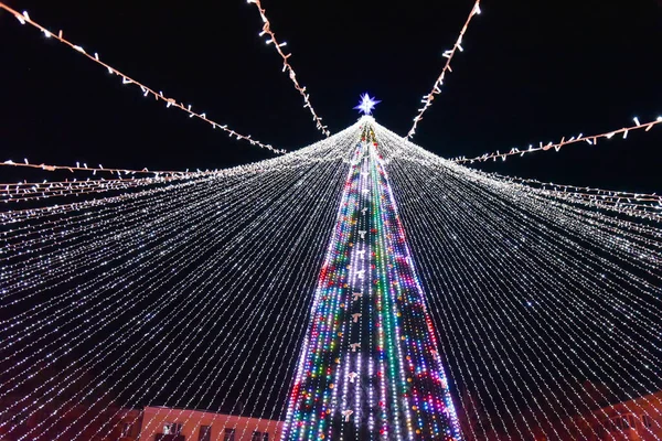 夜にはライトアップされたクリスマスツリー — ストック写真