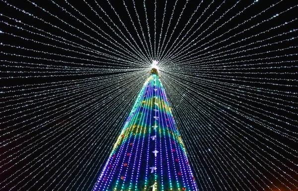 Yılbaşı ağacı ve gece aydınlığı