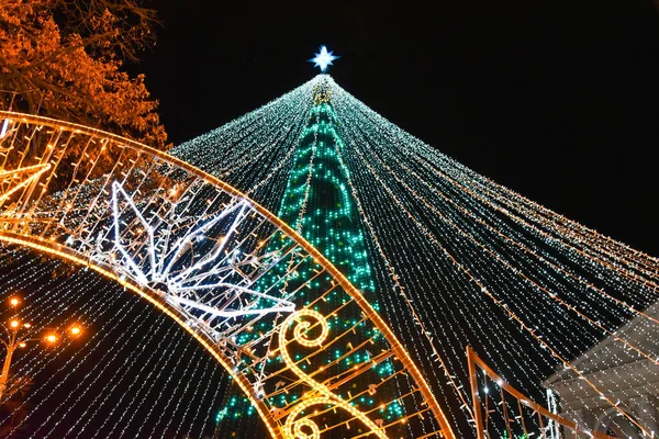 夜にはライトアップされたクリスマスツリー — ストック写真