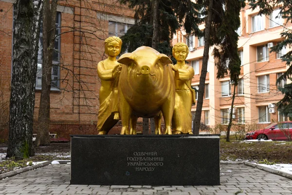 波塔瓦 Ukraine 2023年3月2日 一只猪的青铜雕塑和两个孩子的雕像在基座上 题词为 乌克兰人民的永恒护士 — 图库照片
