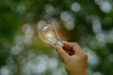 Ampul Enerjisi yeşil arkaplanı kaydediyor