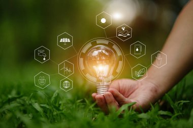 Ampul Enerjisi yeşil arkaplanı kaydediyor