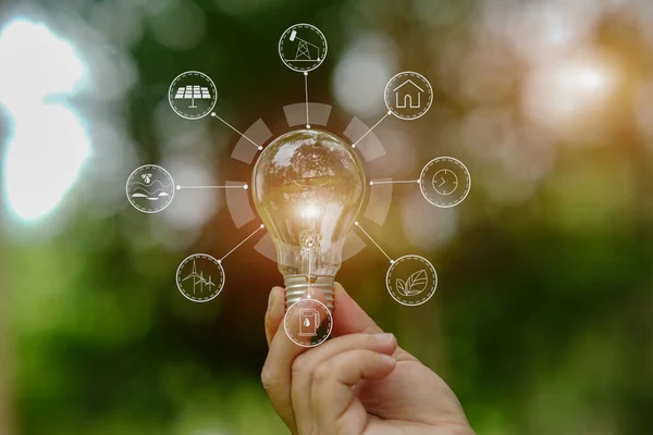 Ampul Enerjisi yeşil arkaplanı kaydediyor